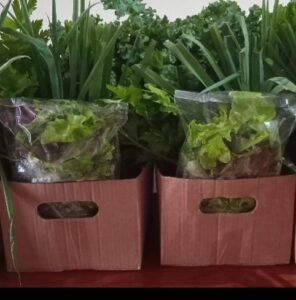 Essential Veggie Box