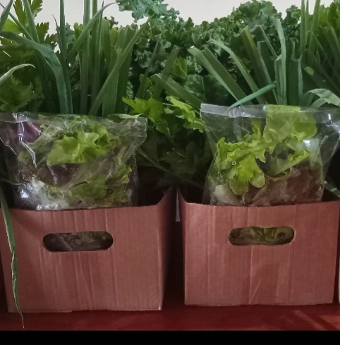 Essential Veggie Box