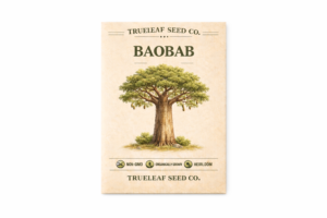Boabab Seed