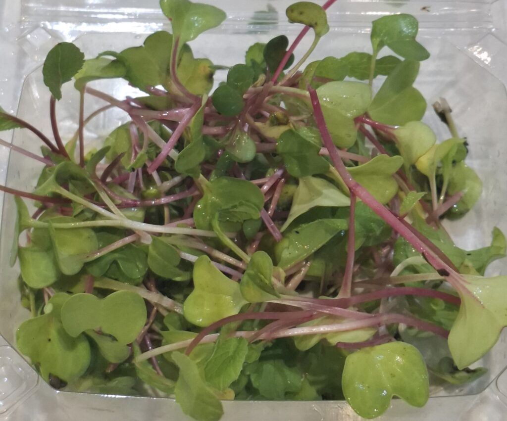 Rainbow Radish Microgreen Punnet