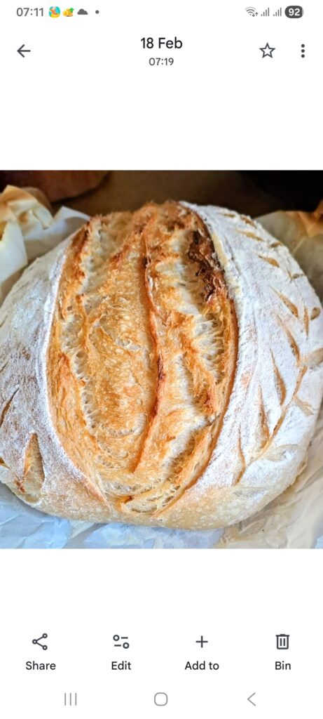 Sourdough bread and bagels