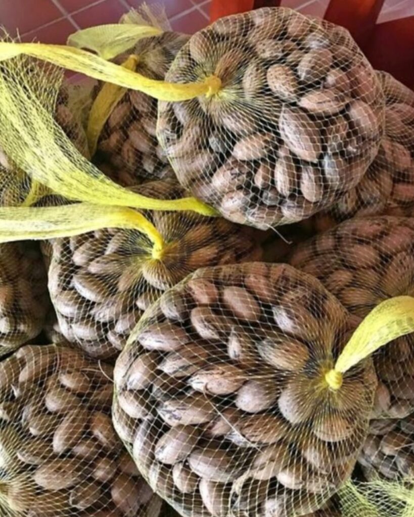 Unshelled Pecan Nuts