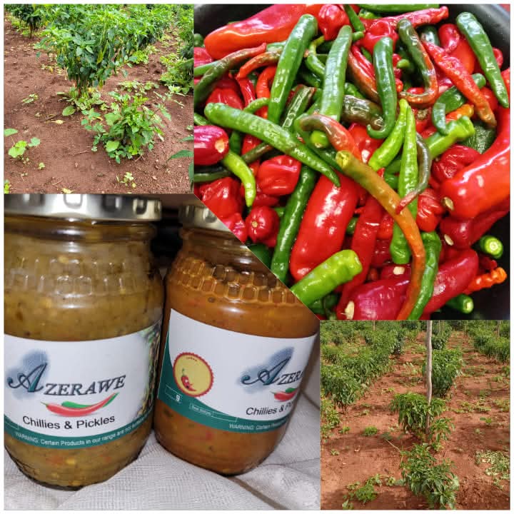 Chillies and Pickles